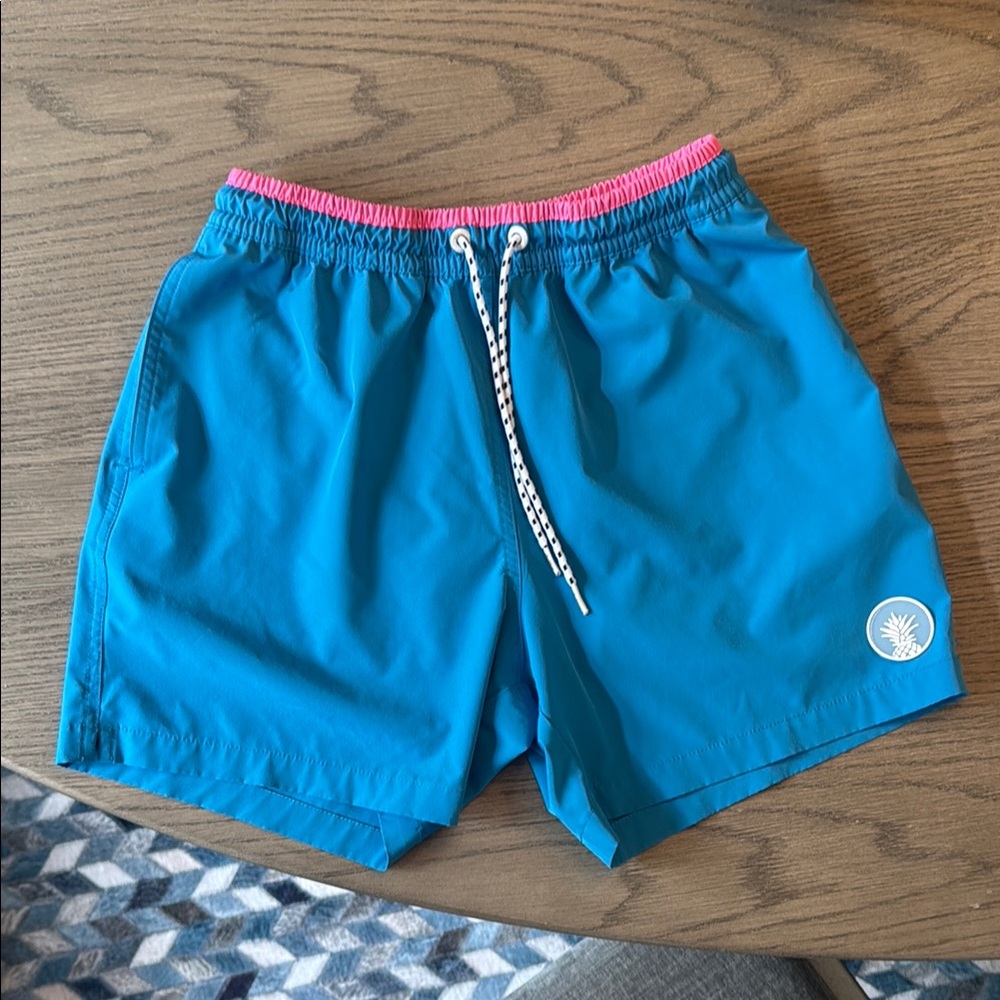 Chubbies Pink and Blue Swim Shorts men’s small